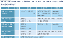 CSCO/NCCN双指南推荐！MET突变肺癌患者必看的12个用药关键问题