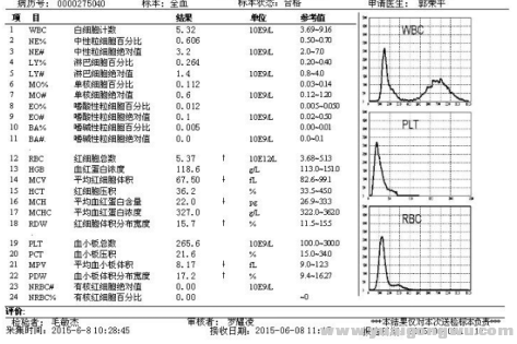 血常规检查