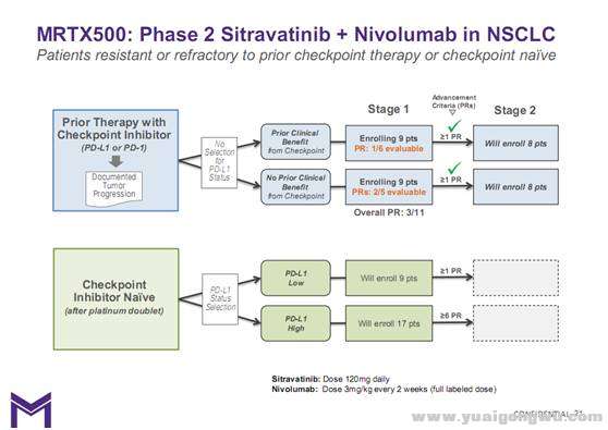 Sitravatinib8.jpg