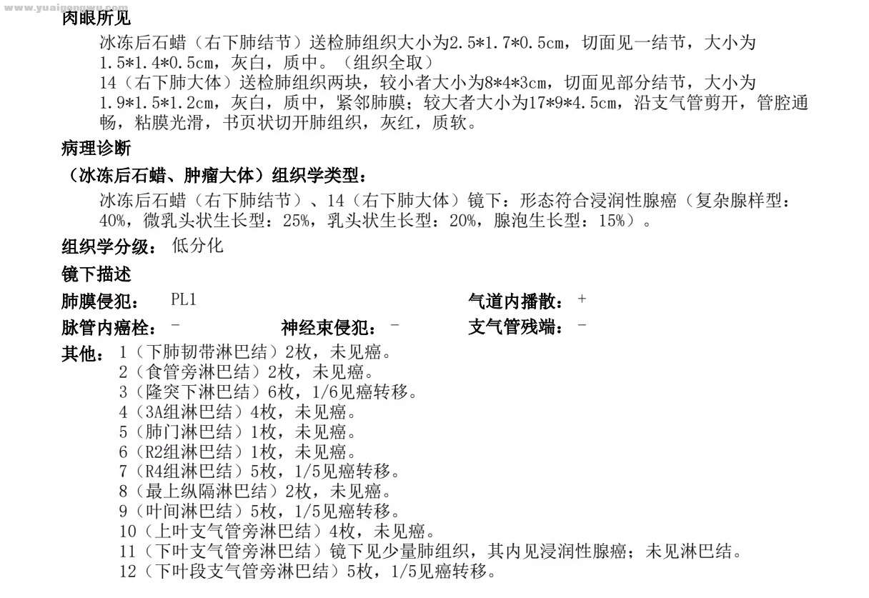 肺腺癌3a期术后应该化疗加靶向还是单靶向